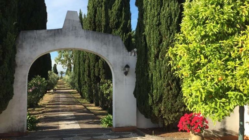 Arco d’ingresso in muratura bianca che incornicia un lungo viale rettilineo fiancheggiato da alti cipressi. In primo piano c’è una pavimentazione a mosaico con motivi geometrici e, a lato, un arbusto verde e un vaso con fiori rossi.
