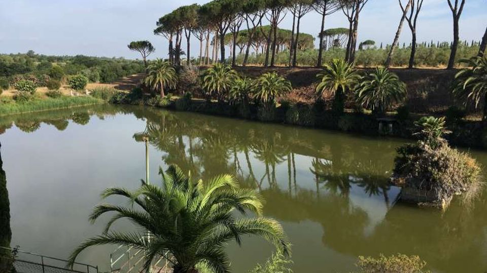Laghetto con acqua calma che riflette la vegetazione circostante, con sponda erbosa e palme lungo il bordo. Sullo sfondo si vede un filare di alti pini a chioma piatta su una lieve altura, in un paesaggio verdeggiante.
