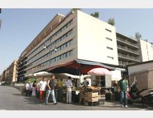 1156-57a2789e28f96c66ce8c0c7865edc4f9jpg