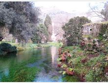 987-d3045cf356a19bdab606ec21f7369381jpg