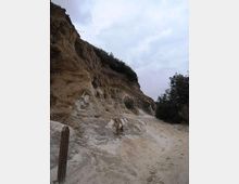 612-0201f2a71689c360dea18fbee3913cbdjpg