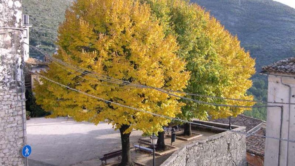 Piazzetta di un borgo in montagna con alberi a foglia gialla e verde al centro, panchine e lampione lungo un muretto in pietra. Sullo sfondo si vedono tetti e pendii montuosi, con cavi elettrici che attraversano la scena.