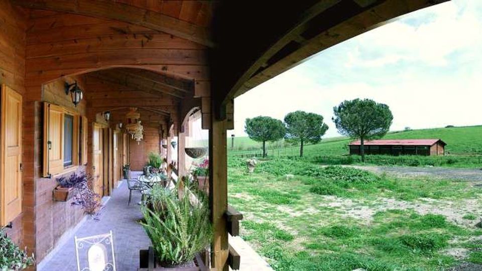 Veranda coperta in legno con porte, finestre e lampade a parete lungo un corridoio con tavolini e piante in vaso. Sul lato aperto si affacciano un prato e una campagna con alberi sparsi e un capannone basso sullo sfondo.