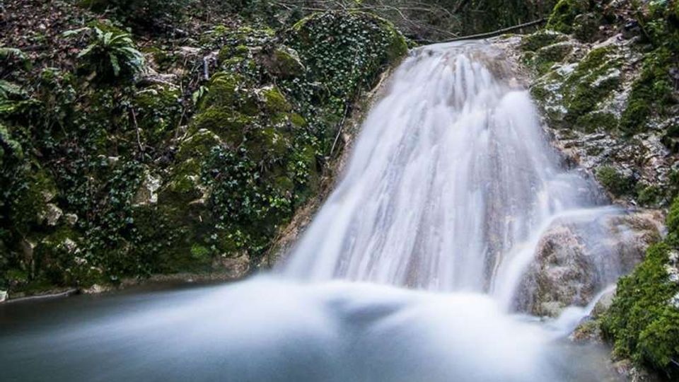 Piccola cascata in un bosco, con acqua che scende su rocce ricoperte di muschio e vegetazione fino a una pozza calma. Intorno si vedono sponde rocciose ombreggiate, felci e arbusti.
