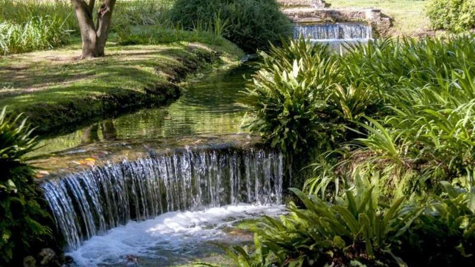 52211-photo-164828368-597111b9-e1f4-45b3-a598-b55fcc7810ee-jpgjpg