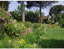 45047-photo-giardino-lm062011-1-jpgjpg