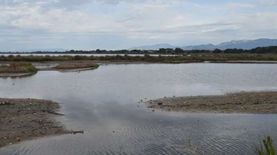 51769-photo-caprolace-31-jpgjpg