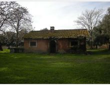 Piccola casa rurale a un piano con intonaco scrostato e tetto di tegole invecchiate, con ingresso centrale ad arco e una piccola canna fumaria. L’edificio è circondato da un prato e da alberi, in un contesto di campagna.