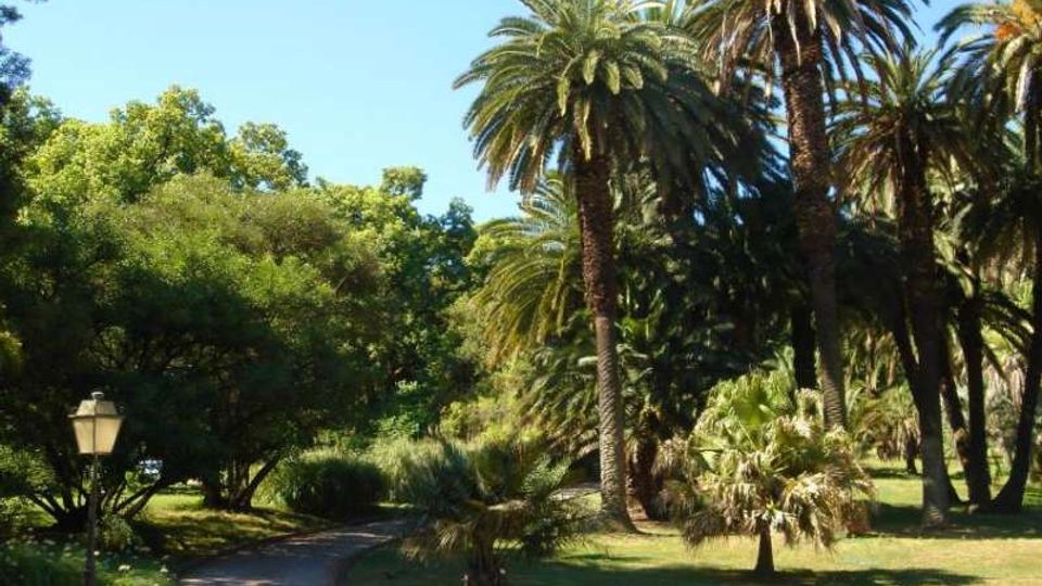 Viale curvo asfaltato in un parco con prato e fitta vegetazione, tra alte palme e alberi sempreverdi. Sul lato sinistro si vede un lampione e sullo sfondo il cielo sereno.