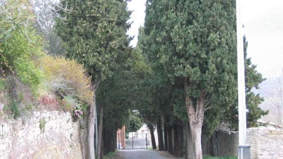 Strada stretta asfaltata fiancheggiata da alti cipressi, che formano un corridoio alberato verso un cancello sullo sfondo. Ai lati si vedono muretti in pietra e recinzioni, con vegetazione e un lampione lungo il margine destro.