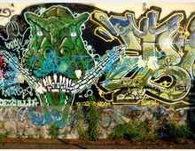 Muro esterno in cemento coperto da graffiti colorati, con un grande disegno di una testa di drago verde e lettering stilizzato su sfondo scuro. Alla base del muro c’è una fascia di cemento grezzo con erbacce e vegetazione che cresce lungo il bordo.