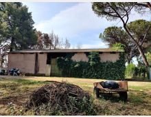 58028-photo-img-20210616-095508-jpgjpg