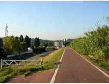 Pista ciclabile asfaltata di colore rossastro che corre lungo un argine, con canneti alti sulla destra e vegetazione e campi sulla sinistra. Sullo sfondo si vedono alcuni edifici, alberi e linee elettriche sotto un cielo sereno.