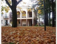 463-2fdd4ccf64e5a68a9857bf8c151bbca0jpg