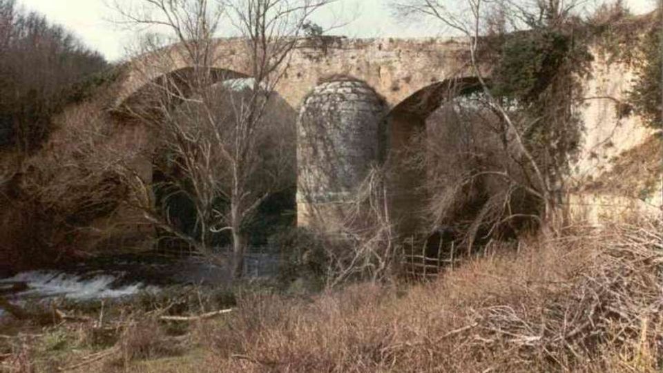 Ponte in pietra a più arcate che attraversa una valle boscosa, con un grande pilone centrale e murature parzialmente coperte da vegetazione. In primo piano si vedono cespugli e alberi spogli lungo un corso d’acqua.