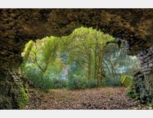 Veduta dall’interno di una grotta o rudere in pietra con ampia apertura ad arco irregolare, affacciata su un sottobosco fitto. All’esterno si vedono alberi e vegetazione densa su un terreno coperto di foglie.