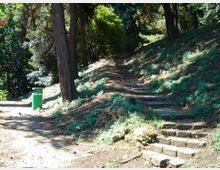 Sentiero in un parco boscoso con una scalinata in pietra che sale lungo un pendio tra alberi alti e vegetazione bassa. A sinistra si vede un’area più pianeggiante con un cestino verde per i rifiuti.