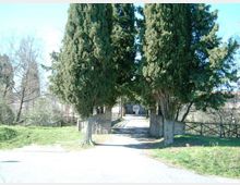 Ingresso a un viale alberato con due grandi cipressi ai lati e un cancello aperto, che conduce a una strada interna. Intorno si vedono prato, recinzioni in legno e alberi sullo sfondo in un contesto rurale.
