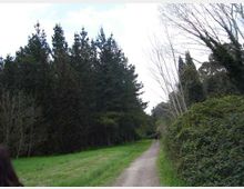 51789-photo-cellulosa-dsc05785-600-x-450-jpgjpg