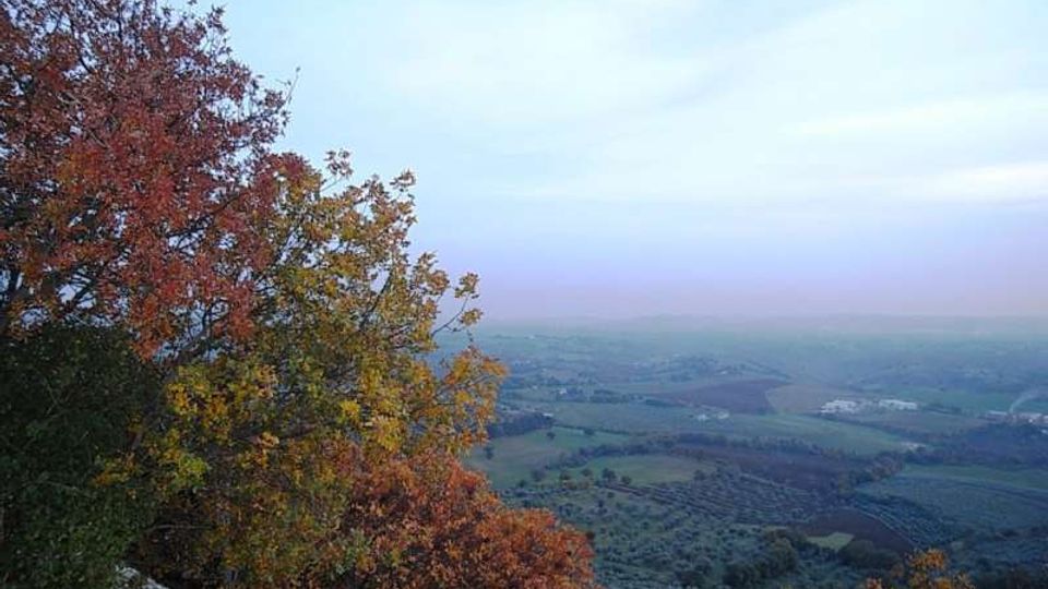 Panorama da un punto elevato su una valle collinare con campi e boschi, sotto un cielo velato. In primo piano, alberi con foglie autunnali arancioni e gialle incorniciano la vista.