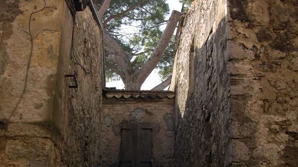 Stretto vicolo tra alti muri di pietra e intonaco deteriorato di edifici rustici, con cavi elettrici sospesi in alto e una piccola finestra con persiane in fondo. Sullo sfondo si vedono grandi alberi che emergono oltre i tetti con tegole.