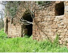 Ruderi di una costruzione in pietra con muri in blocchi irregolari e aperture ad arco e rettangolari, parzialmente crollati. Davanti cresce erba alta e un albero spoglio con rami che si estendono verso la facciata.