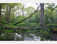 51860-photo-timthumb-jpgjpg