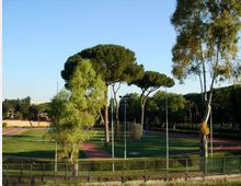 Campo sportivo all’aperto con pista di atletica rossa che circonda un prato, circondato da alte reti e pali per l’illuminazione. Sullo sfondo si vedono alberi ad alto fusto e una linea di vegetazione sotto un cielo sereno.