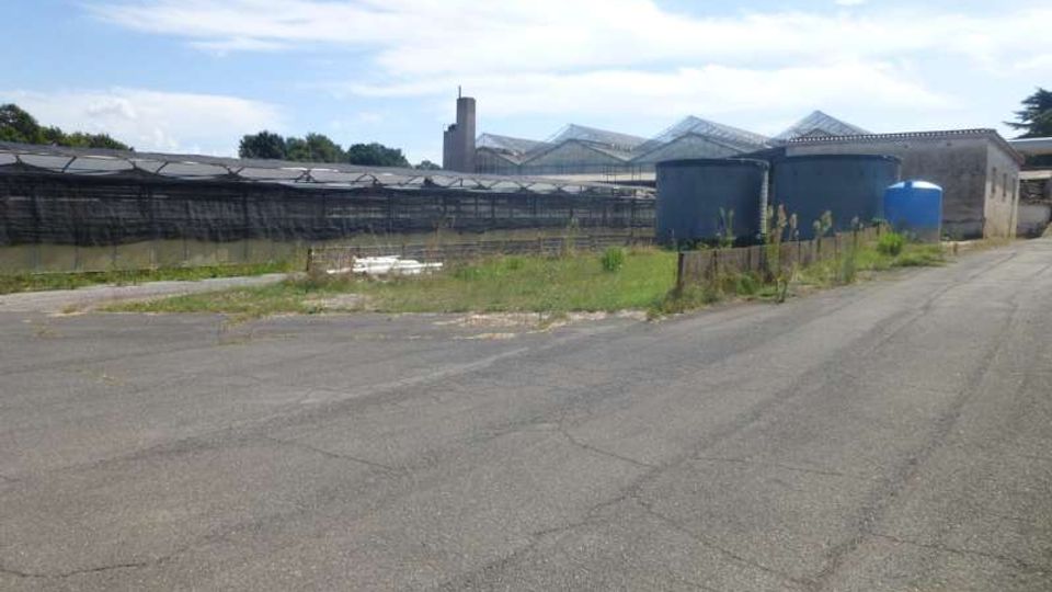 Area industriale con strada asfaltata in primo piano e, sullo sfondo, capannoni e serre con coperture metalliche. A destra si vedono grandi serbatoi cilindrici e un edificio in muratura, con vegetazione incolta lungo una recinzione.