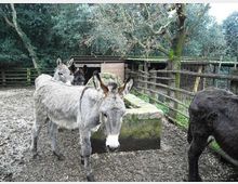 612-a63eeef7b8221bb97f0378cc7bf34cfdjpg