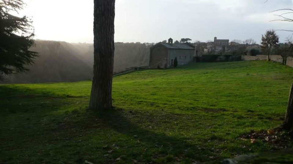 Ampio prato verde in lieve pendenza con un grande tronco d’albero in primo piano e altri alberi ai margini. Sullo sfondo si vede un edificio in pietra tipo casale o monastero vicino al bordo di una valle boscosa, sotto un cielo chiaro.