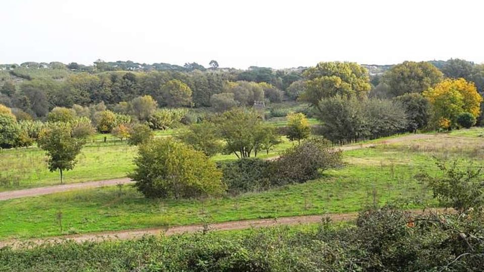 560-f8648db1d14cd59a2ed86778ed35fbafjpg