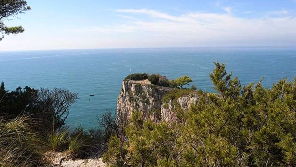 576-69a13a81fb9cf2c330a6e14e24bce091jpg