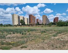 Ampio terreno incolto con erba rada e chiazze di terra in primo piano, con alberi e vegetazione bassa lungo il margine. Sullo sfondo si vedono alti palazzi residenziali a più piani con facciate beige e rosse, sotto un cielo azzurro con nuvole sparse.