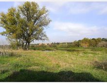 561-2789db20f7a9ec64ebefd750e2dec99djpg