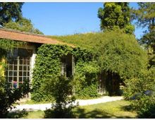 Edificio basso con tetto in tegole e grandi finestre a riquadri, in parte coperto da edera e vegetazione rampicante. Davanti c’è un giardino con prato, cespugli e alberi sotto un cielo sereno.
