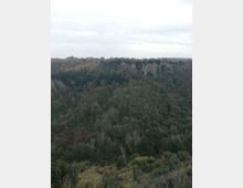 Veduta panoramica di una valle boscosa con fitta vegetazione e una scarpata rocciosa lungo la cresta in lontananza. Il cielo è coperto e alcune linee elettriche attraversano la scena.