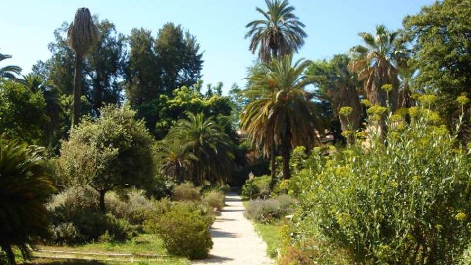 Viale pedonale in ghiaia che attraversa un giardino botanico con vegetazione mediterranea, palme alte e arbusti fitti ai lati. Sullo sfondo si vedono alberi ad alto fusto e cielo sereno.