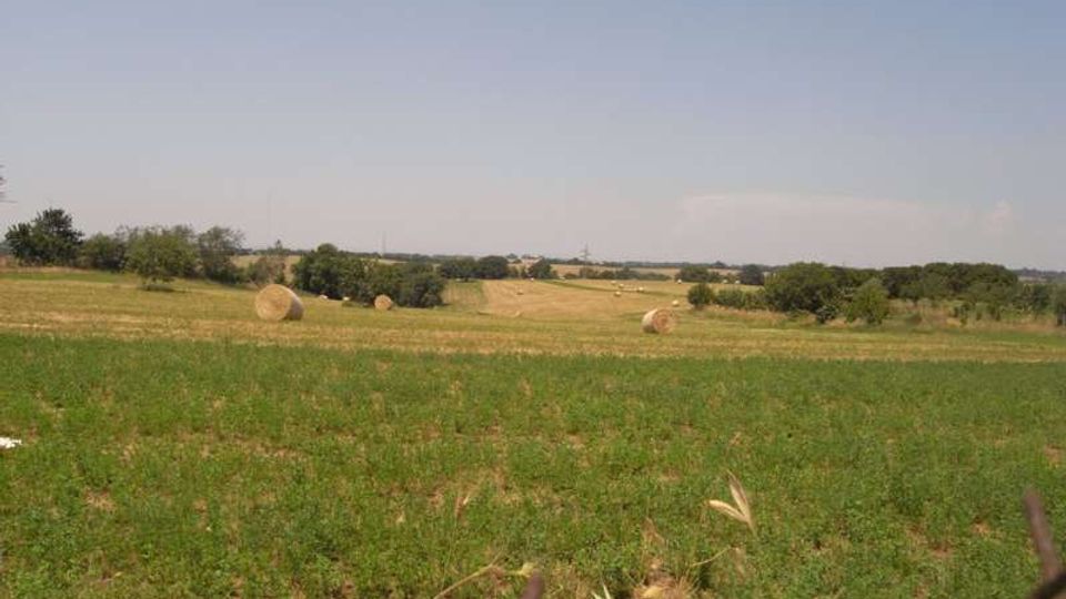 Ampio paesaggio rurale con campi di erba e stoppie, rotoballe di fieno sparse e filari di alberi all’orizzonte. Cielo sereno sopra dolci colline agricole.