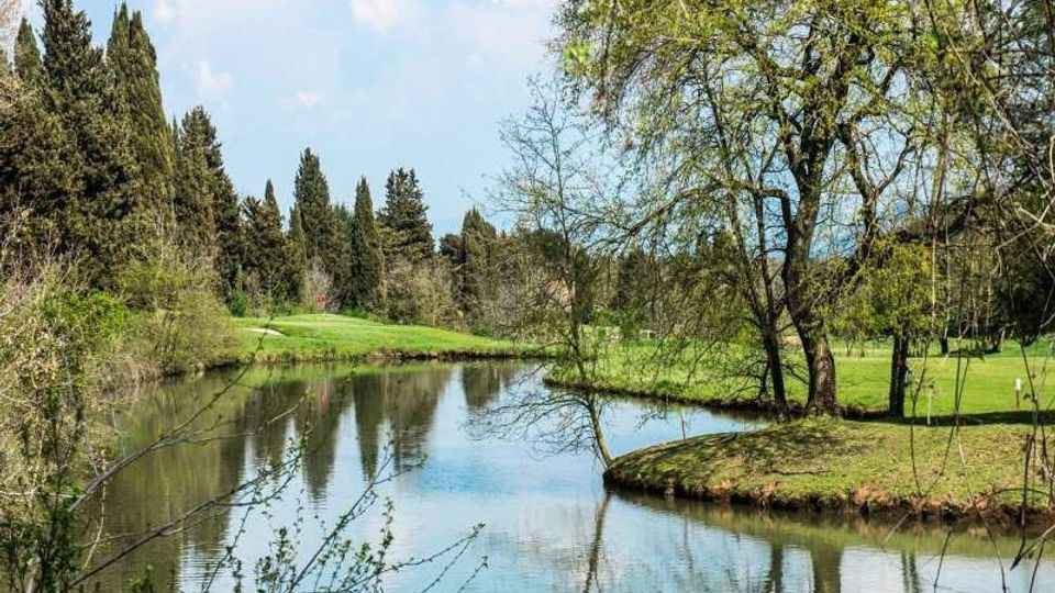 Laghetto con acqua calma in un parco verde, circondato da prati curati e alberi alti, con rami che si riflettono sulla superficie. Sullo sfondo si vede una fila di cipressi e cielo parzialmente nuvoloso.