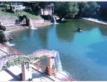 525-4c197180bac5510ae485c506230743f5jpg