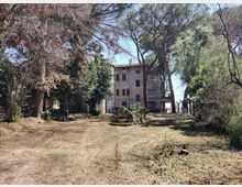 58040-photo-img-20210609-145903-jpgjpg