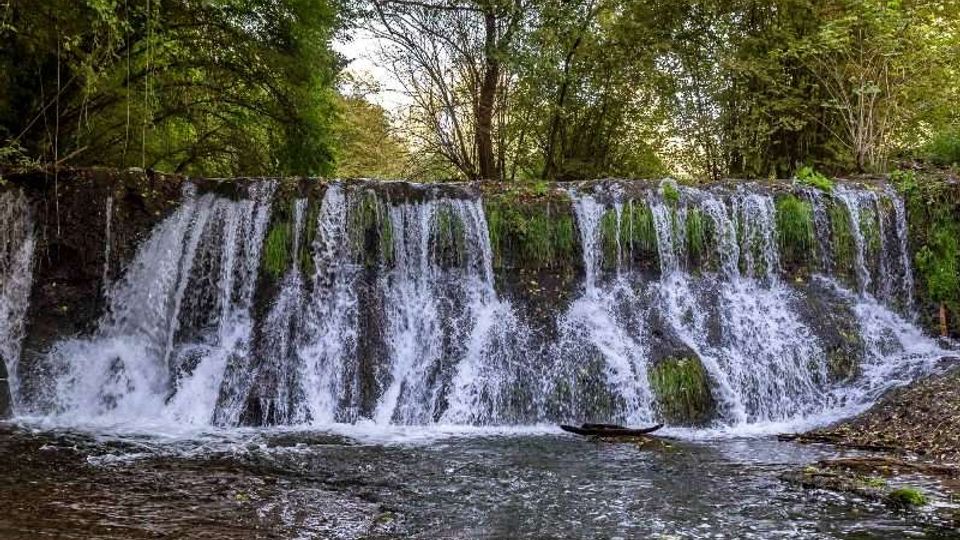 52530-photo-monumento-nturale-parco-della-forre-3-jpgjpg