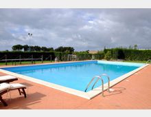 49053-photo-andrea-3-jpgjpg