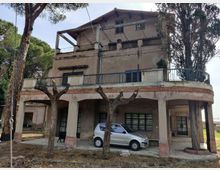 58050-photo-img-20210616-100120-jpgjpg