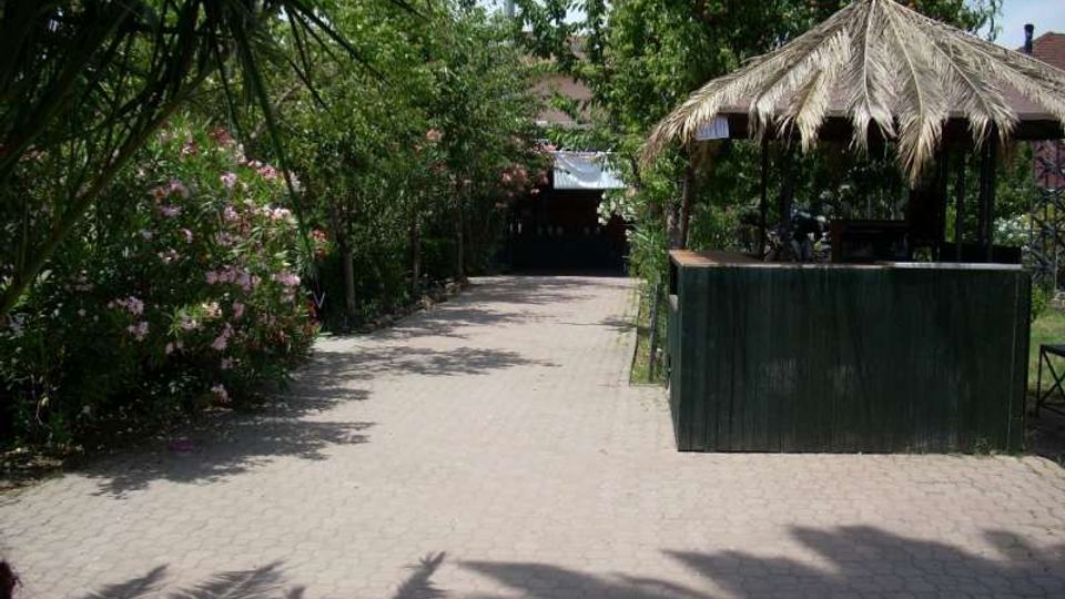 Vialetto pavimentato in un’area verde con alberi e cespugli fioriti ai lati, che conduce verso una struttura sullo sfondo. A destra si vede un chiosco con tetto in paglia e bancone in legno scuro, in un contesto tipo giardino o cortile.