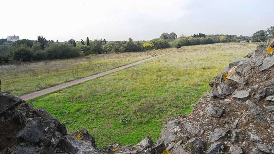 560-9c56fa89000ebb6f226265f086244540jpg