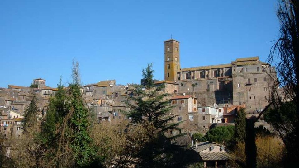 Veduta panoramica di un borgo collinare con case in pietra addossate tra loro e una grande chiesa con alto campanile quadrato. In primo piano si notano alberi e vegetazione, con cielo sereno sullo sfondo.
