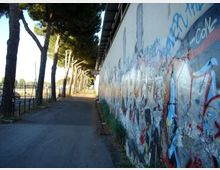 Strada asfaltata con alberi alti su un lato e un lungo muro su l’altro, coperto da graffiti e scritte. L’area appare periferica, con recinzioni e un cartello stradale visibile in lontananza.