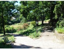 Sentiero in ghiaia in un parco alberato, con panchina e lampione lungo il percorso e vegetazione fitta su prati e aiuole. Il cammino si biforca e costeggia un basso muretto in pietra, con alberi alti che creano zone d’ombra.
